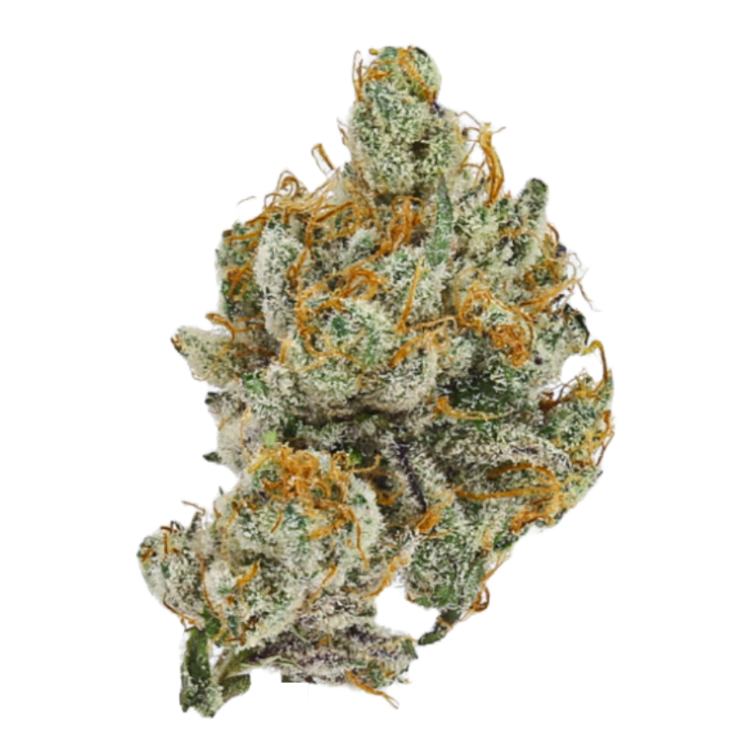 Decibel Gardens - Watermelon Punch 3.5G
