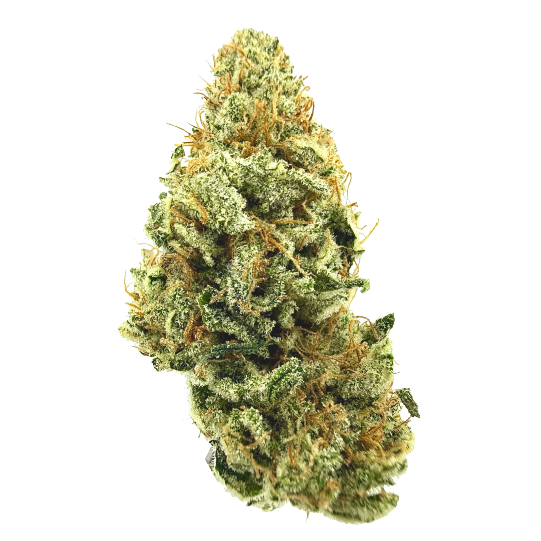 SNOWTILL - ANIMAL X-ING 3.5G