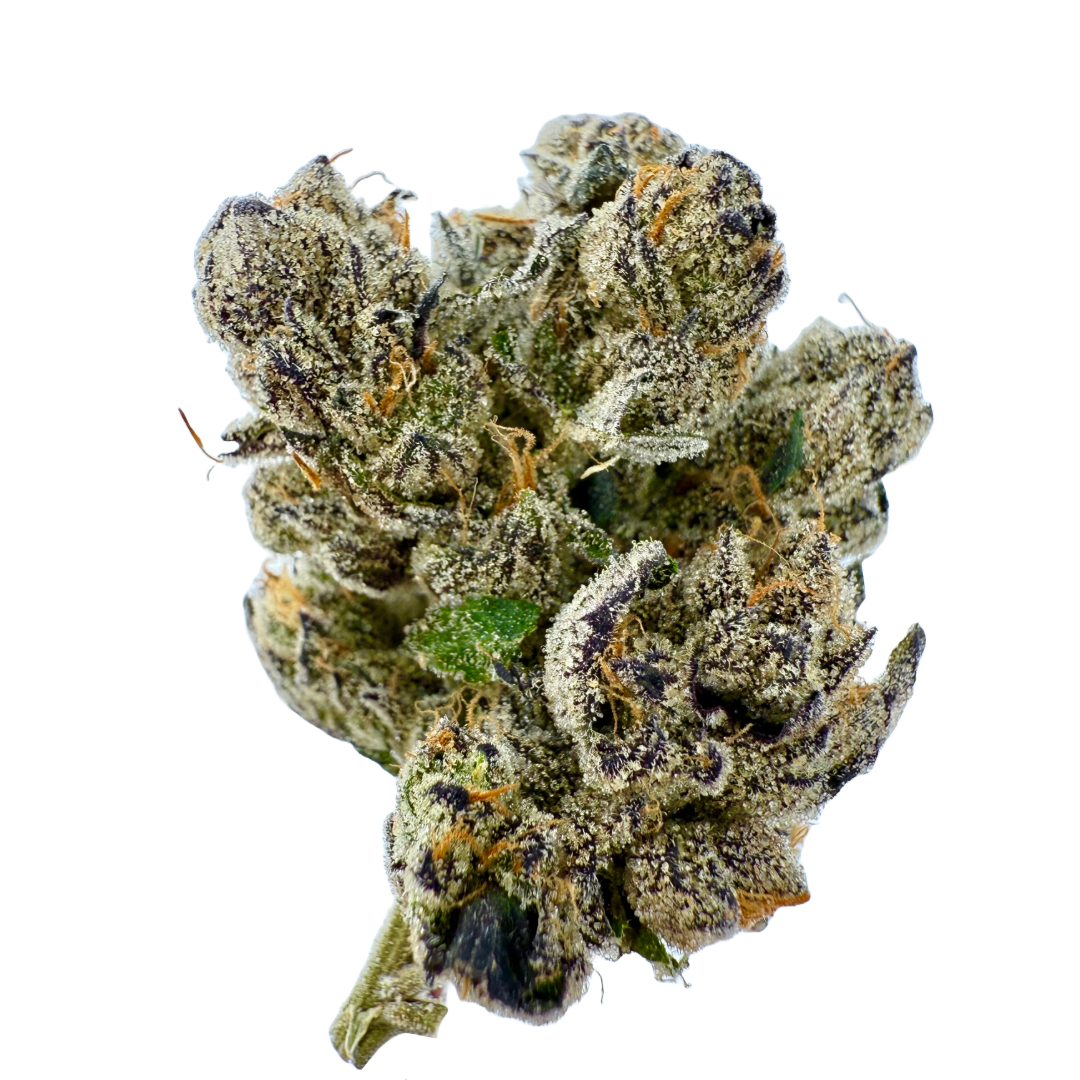 Decibel Gardens - Blueberry Revenge 14G