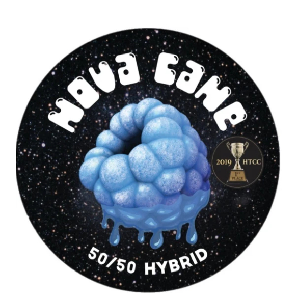 Team Elite Genetics: Nova Cane