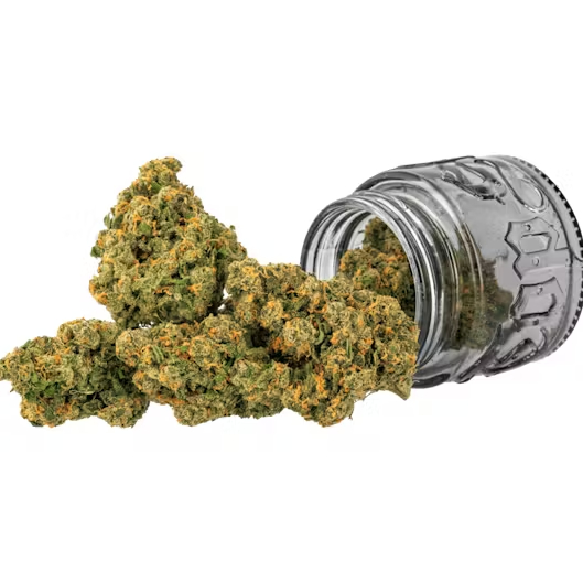 Top Shelf Cultivation: Jack - Top Shelf Cultivation