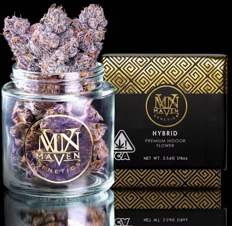 Maven Genetics: New Money