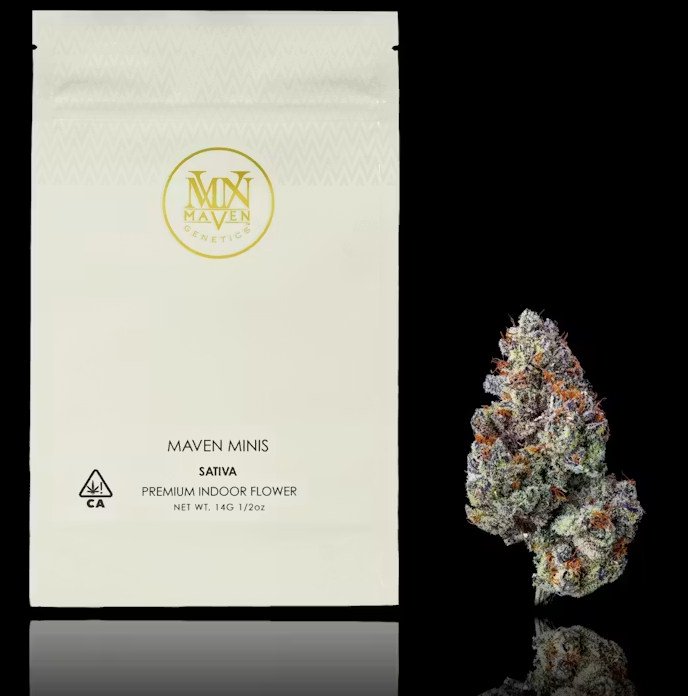 Maven Genetics: Zuzu Berry - - Maven Genetics