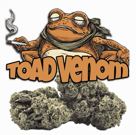 Green Dragon Extracts: Toad Venom