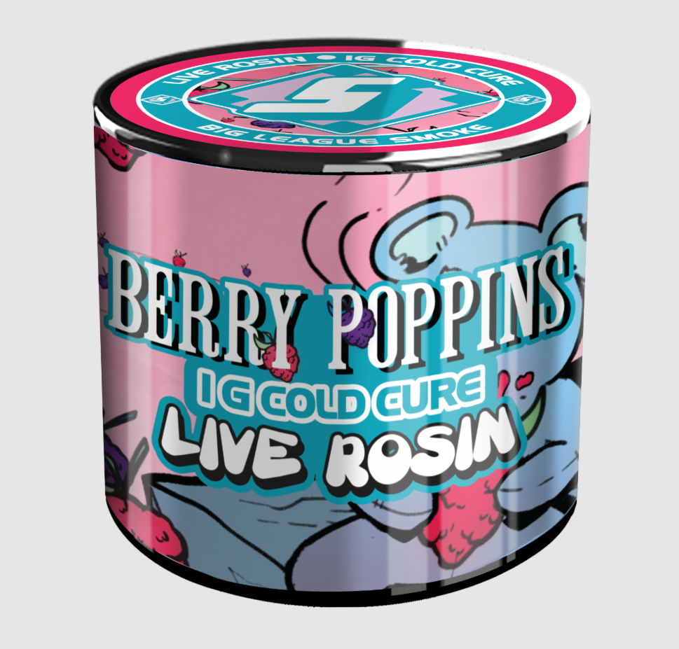 Sluggers Official Retail: Berry Poppins