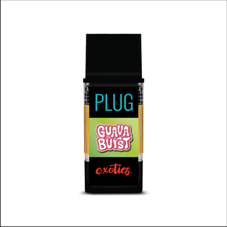 PlugPlay: Guava