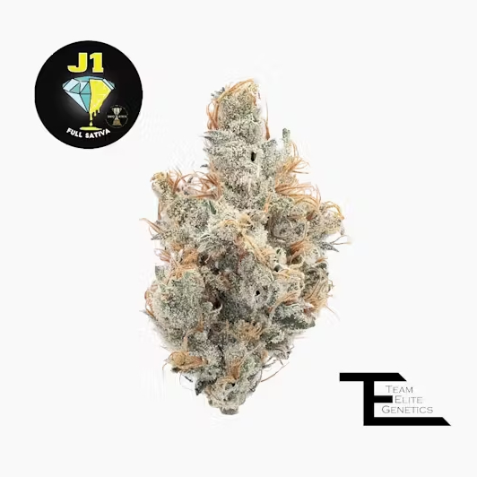 Team Elite Genetics: J1 - Team Elite Genetics