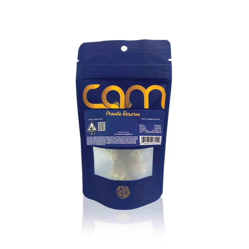 Angel Cam: Super Silver Haze