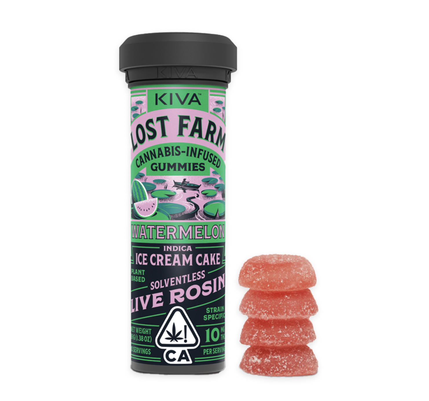 Lost Farm: Watermelon X Ice Cream Cake