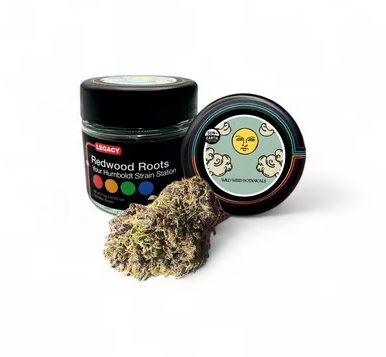 Roots: Blueberry - - Redwood Roots