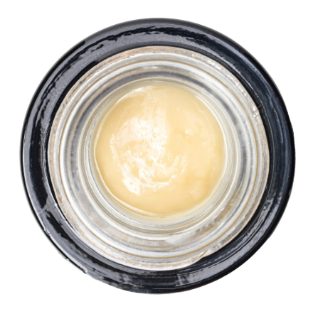 Team Elite Genetics: Bottle Caps - - Team Elite Genetics