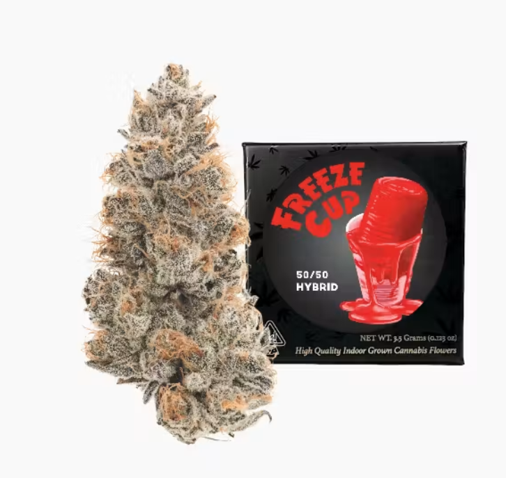 TEAM ELITLE GENETICS: Freeze Cup