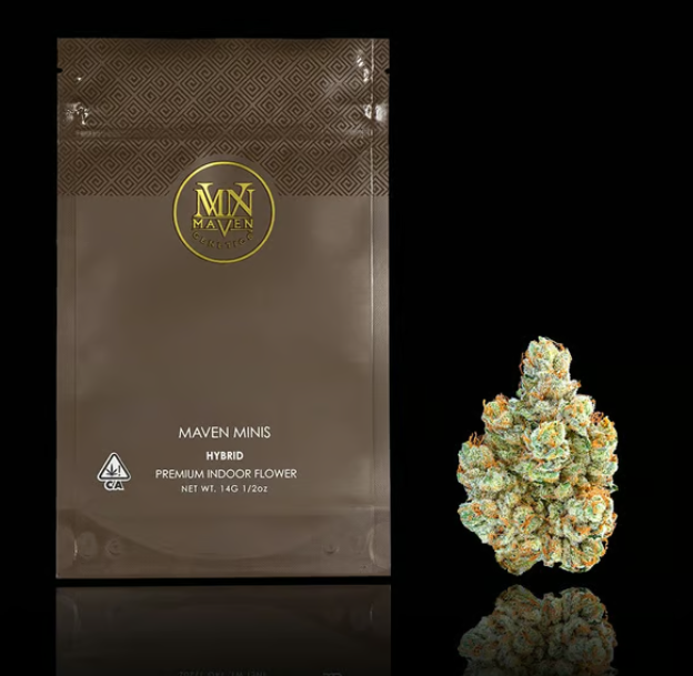 Maven Genetics: SFV OG
