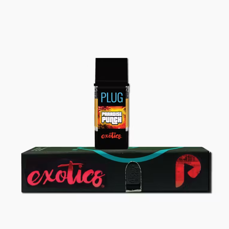 PlugPlay: Paradise Punch