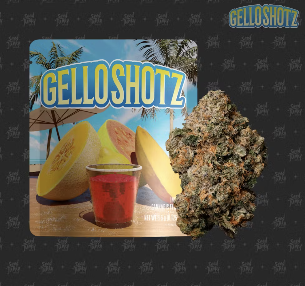 SEED JUNKY: Gello Shotz
