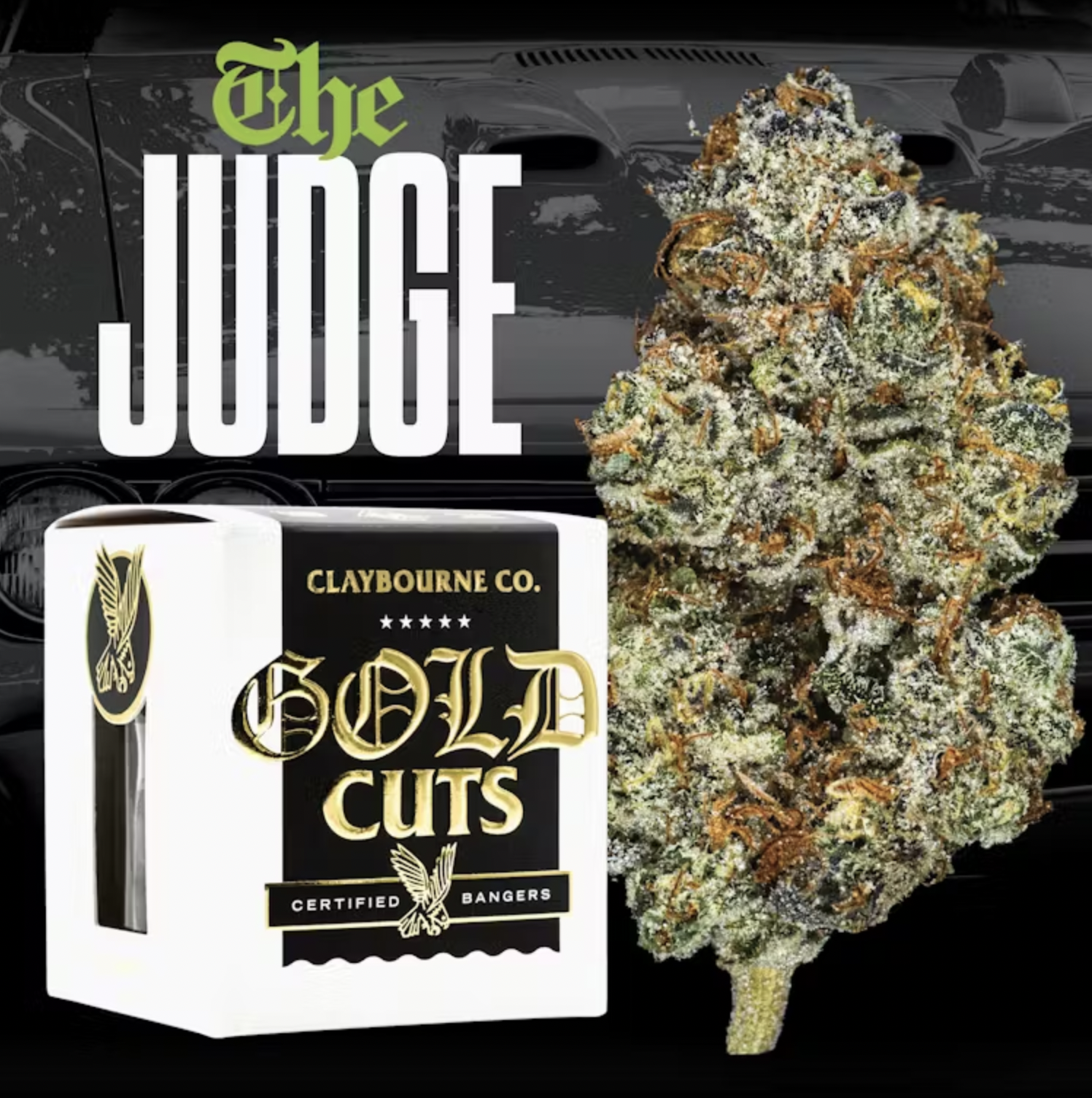Claybourne Co.: The Judge