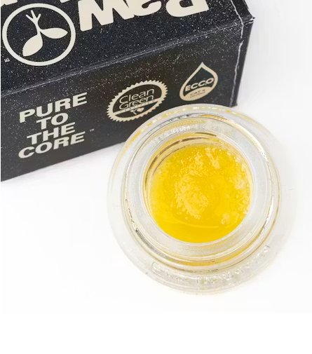 Raw Garden: Headband