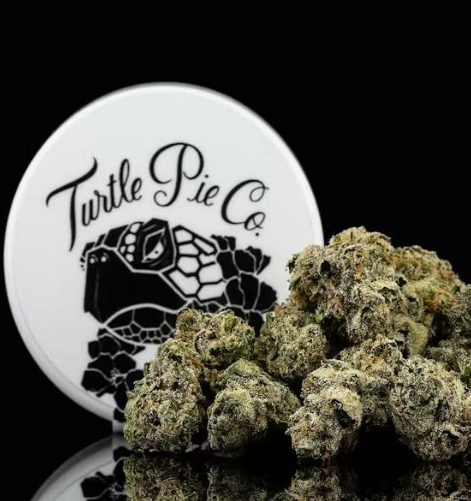 Turtle Pie Co.: Sidewalk Sunday