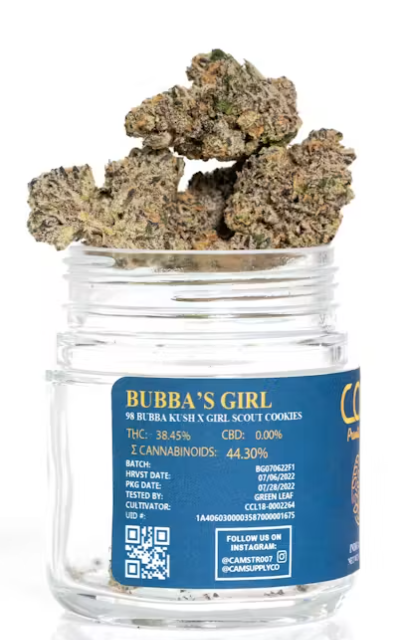 Angel Cam: Bubba S Gift