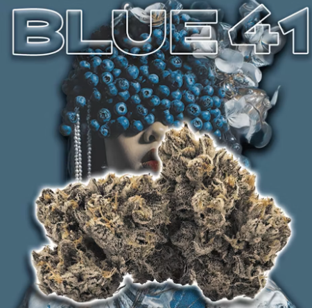 Green Dragon Extracts: Blue 41 - - Green Dragon