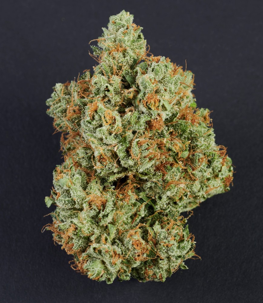 IMPRESSED Golden Tree 3.5G