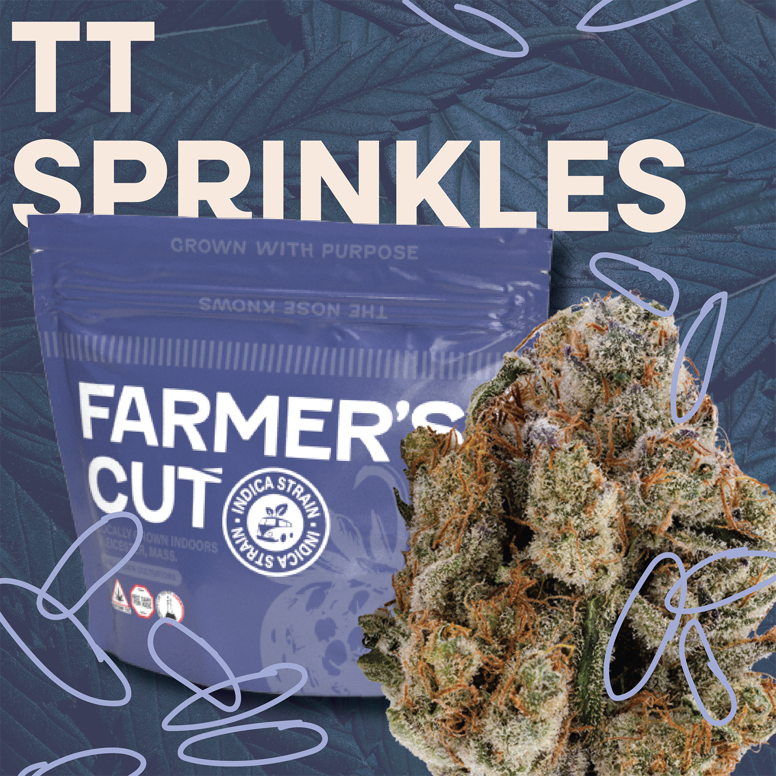 TITTY SPRINKLES