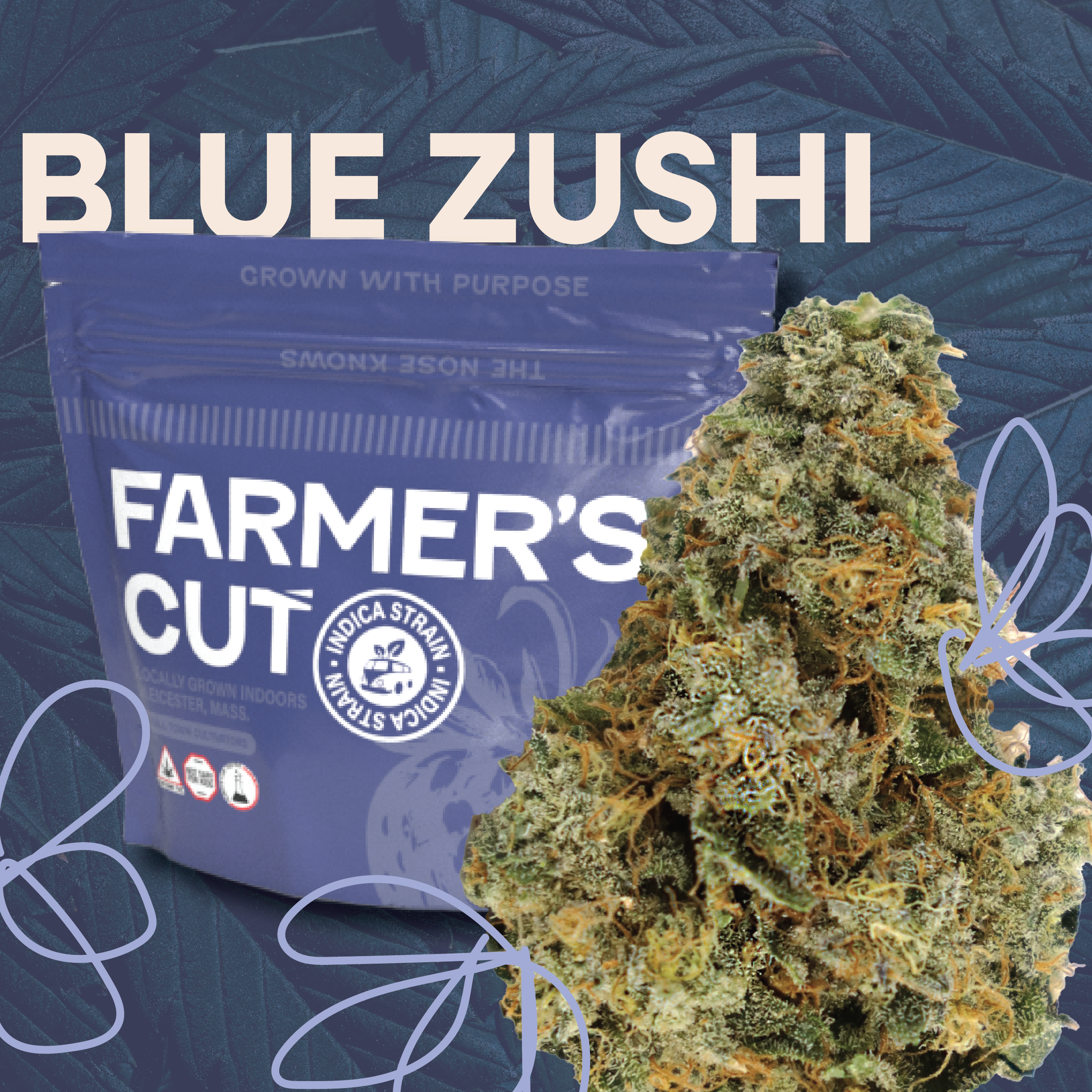 BLUE ZUSHI