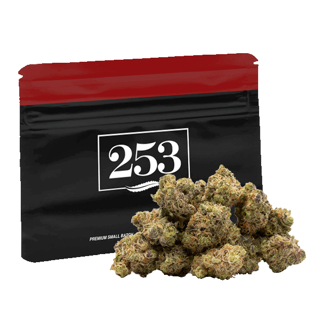 SOUR DZ