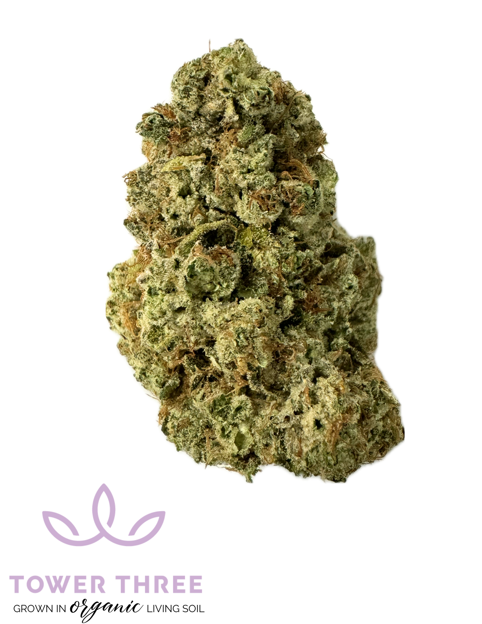 MOONBUTTER