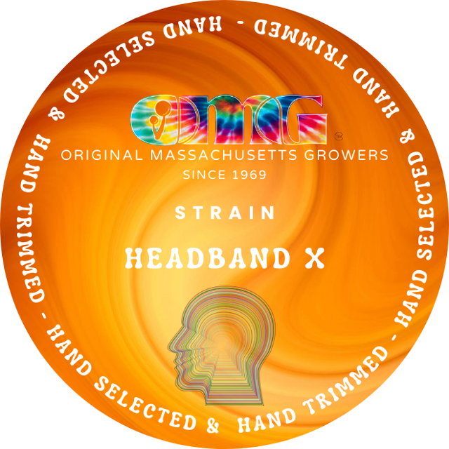 HEADBAND X - HEADSTASH